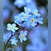 emlovely3